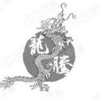 龙腾资本_LOGO