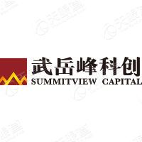 武岳峰资本 LOGO
