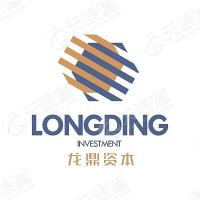 龙鼎投资