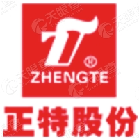 浙江正特