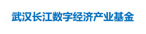 武汉长江数字经济产业基金