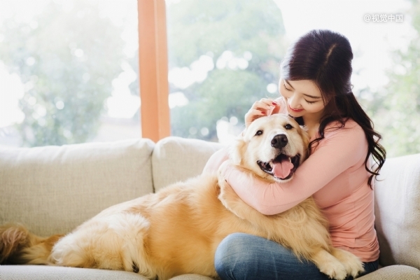 420萬創(chuàng)業(yè)者，搶灘「養(yǎng)寵盛世」