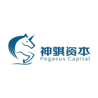 神骐资本