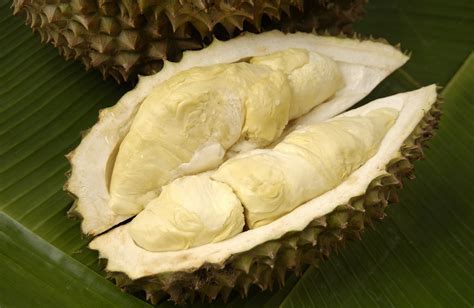 榴莲价格不跌反涨，都怪辛巴溯源直播？