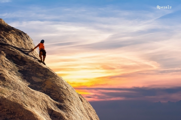 看看A16Z重金押宝的AI公司，都有什么秘密武器