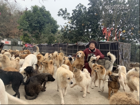 首届中国年度宠物和爱宠人物诞生：3条腿警犬、收养5千动物的老人等入选