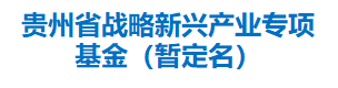 贵州省战略新兴产业专项基金（暂定名）