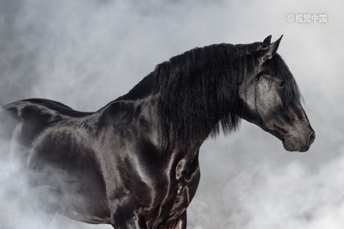 「城下之盟」的并購交易越來越多