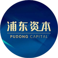 浦东资本
