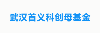 武汉首义科创母基金