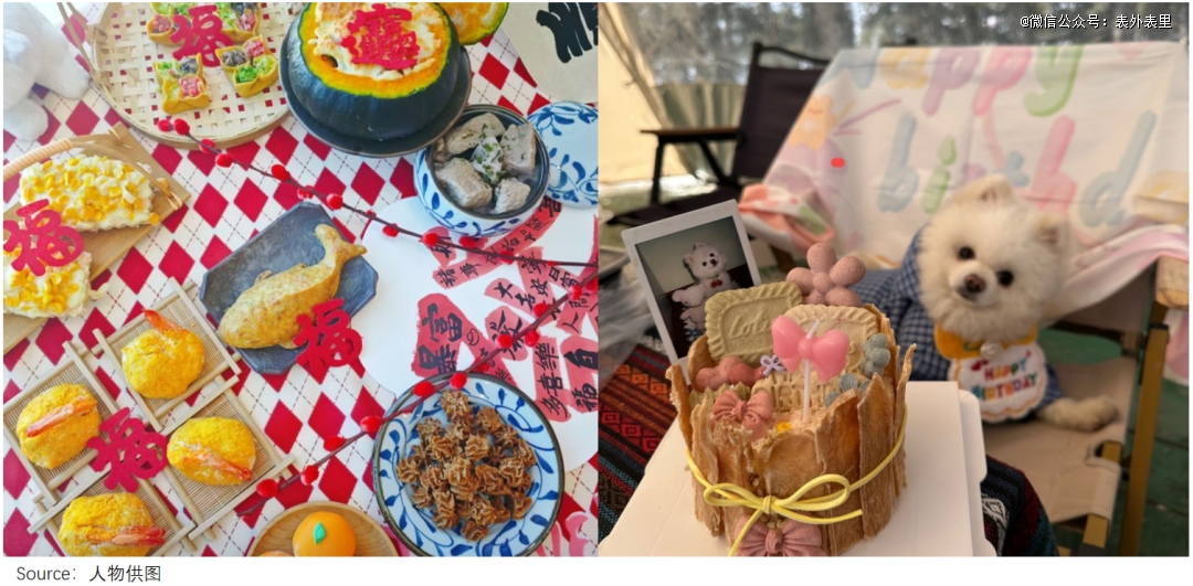 创业者抢滩「养宠盛世」pg电子中国420万(图5)