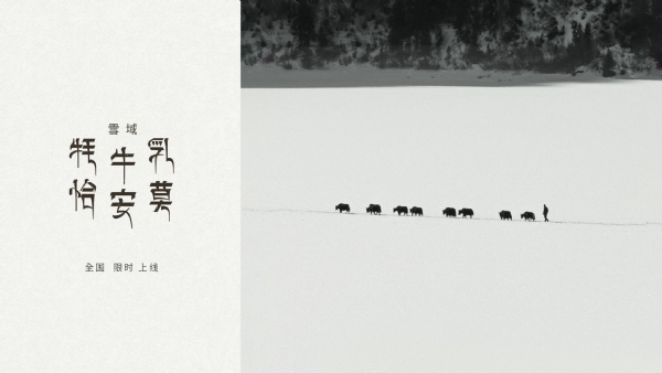 喜茶「雪域·牦牛乳恰安莫」限時全國上新