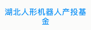 湖北人形机器人产投基金
