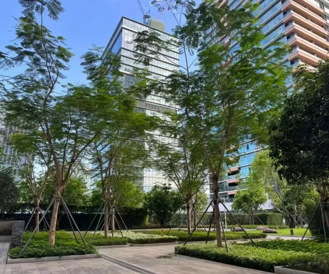 from clipboard from clipboard