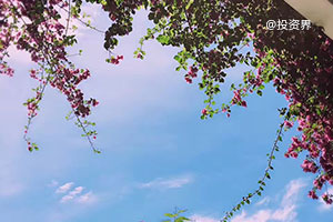 孫正義的50年執(zhí)念