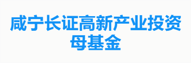 咸宁长证高新产业投资母基金