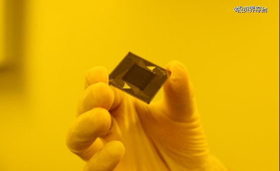 Nature正刊！邏輯比特科技助力百比特量子芯片新突破