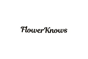 国货彩妆品牌「花知晓」完成B轮融资，珀莱雅出手