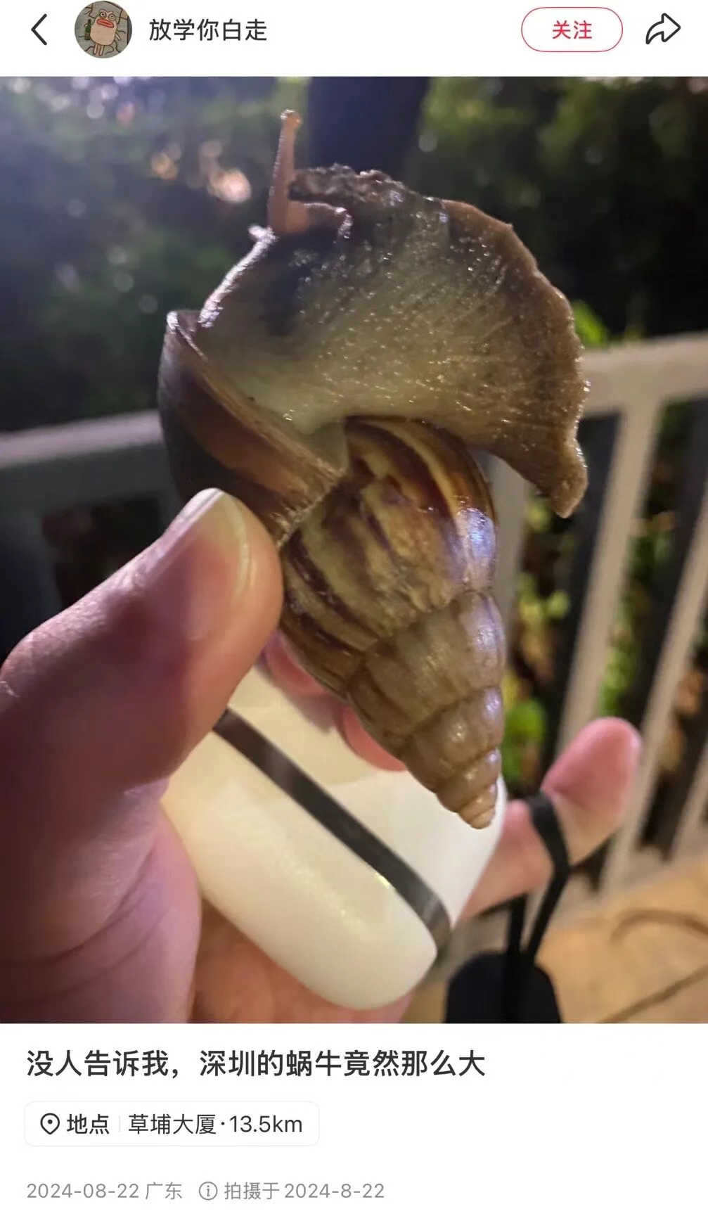 from clipboard from clipboard