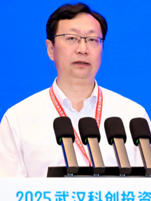 投资界直击：2025武汉科创投资生态大会暨星火种苗计划发布仪式