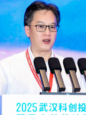 投资界直击：2025武汉科创投资生态大会暨星火种苗计划发布仪式