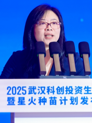 投资界直击：2025武汉科创投资生态大会暨星火种苗计划发布仪式