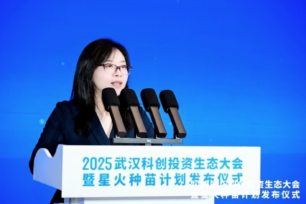 政策解讀：《武漢市推動(dòng)科技金融高質(zhì)量發(fā)展，加快建設(shè)全國(guó)科技金融中心行動(dòng)方案（2025-2027）》