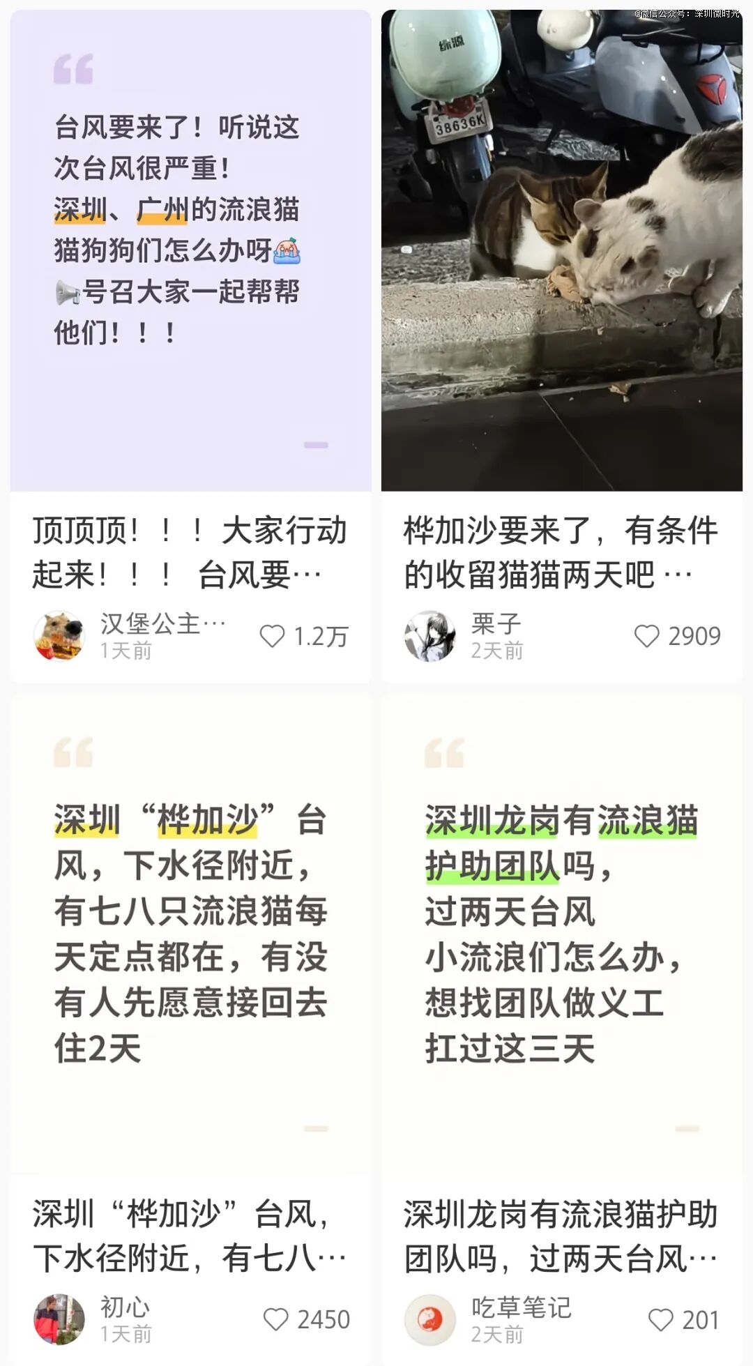 桦加沙」深圳不语只是一味地……pg电子模拟器免费版面对风王「(图2)