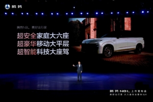 29.98万元起，大六座SUV腾势N8L正式上市