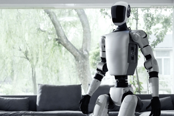 第一批买机器人做家务的人崩溃了