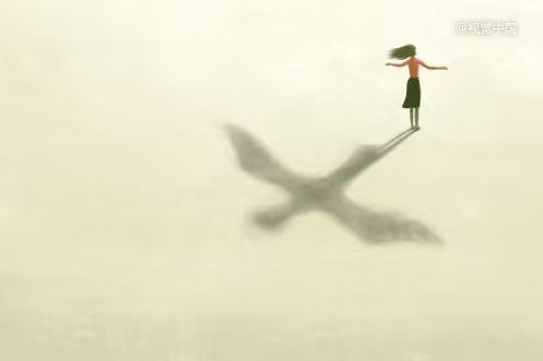 贝泰妮又做LP了