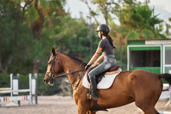 中产家庭送娃骑马，一年烧掉几十万