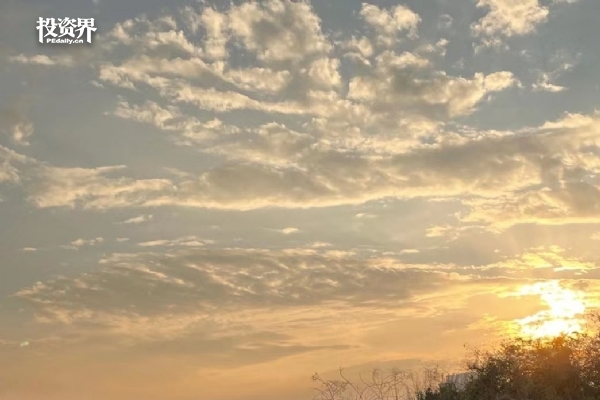 白酒神话终结:十年最差成绩单,谁是幕后推手?