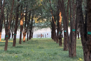 这届年轻人在北京花2元「看海」