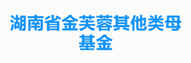 湖南省金芙蓉其他类母基金