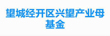 望城经开区兴望产业母基金