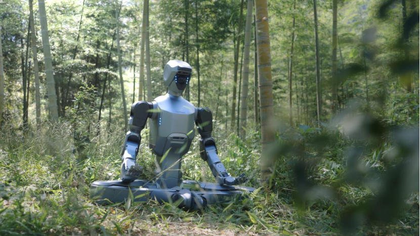 from clipboard from clipboard