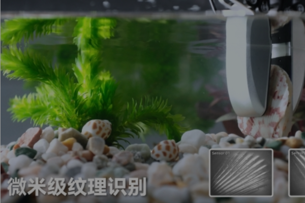 戴盟机器人又获亿元级投资！三大「链主」为何集体押注？