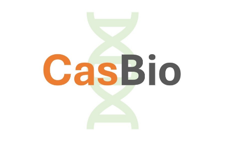 篆码生物完成数千万元Pre-A轮融资，加速在体基因疗法开发及平台建设