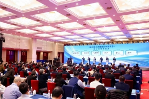 今天，投资人集体去浙江