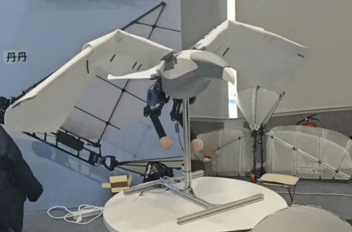 鹰瞰智翼获千万元天使轮融资，00后交大博士做仿生飞行机器人