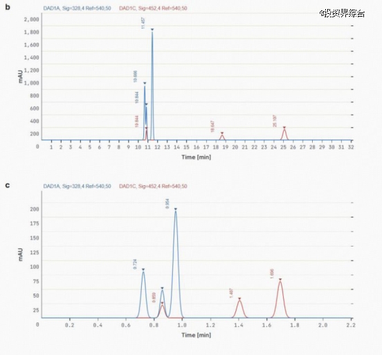 恩和发布 BPL 协议语言，定义生物制造的「工业级编译器」