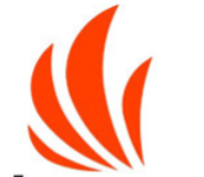 国民飞骧 LOGO