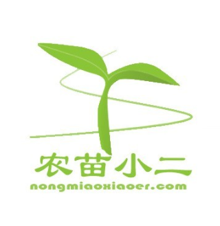 (青山资本) 投过项目(农苗小二)