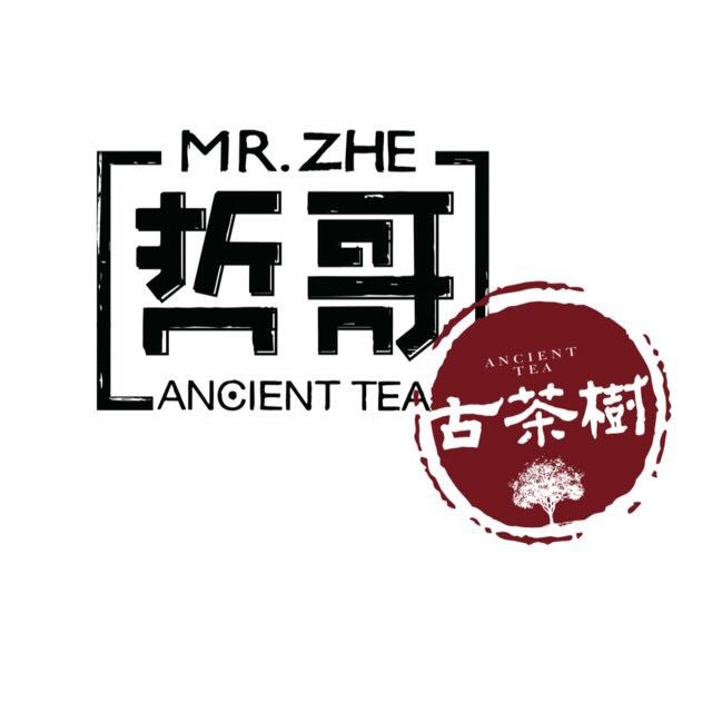 哲哥古茶树 LOGO