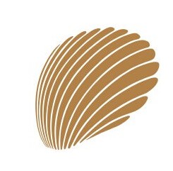 (去玩资本) 投过项目(羽贝纳传媒)