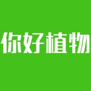 (千树资本) 投过项目(你好植物等蜂来)