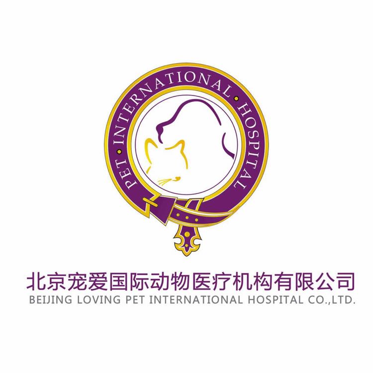 宠爱国际 LOGO