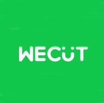(创新谷投资) 投过项目(WeCut)