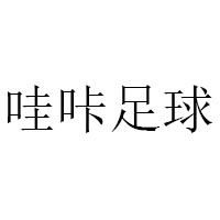 (晨曜资本) 投过项目(哇咔足球)